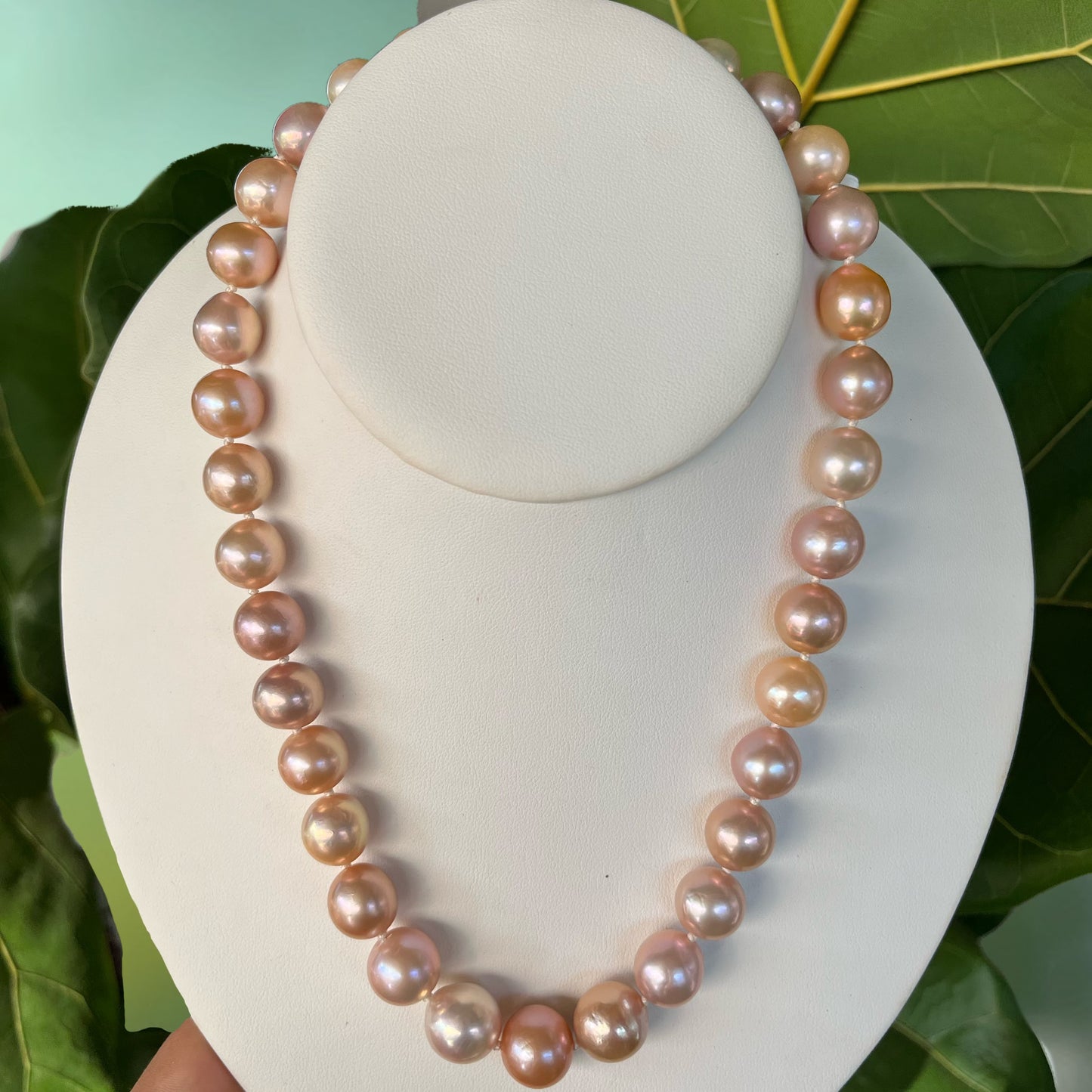 Bombucha Pink Edison Strand